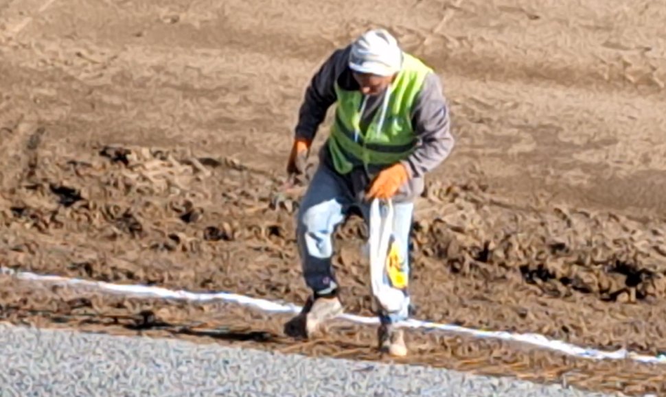 Ciolacu și Rafila, în vizită pe șantierul Spitalului Regional din Iași 3873