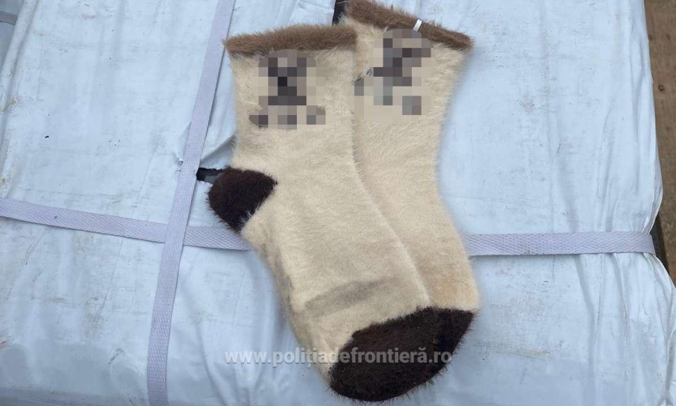 Bunuri în valoare de peste 2.000.000 de euro, descoperite în PTF Siret 3947