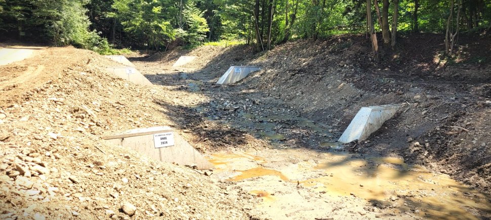 Romsilva: construcții complexe pentru stoparea viiturilor în bazinul Bucșoița 4228