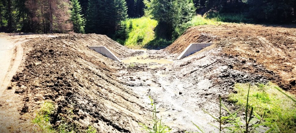 Romsilva: construcții complexe pentru stoparea viiturilor în bazinul Bucșoița 4230