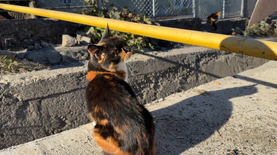 Țevi de gaz – obstacole în stradă 4437