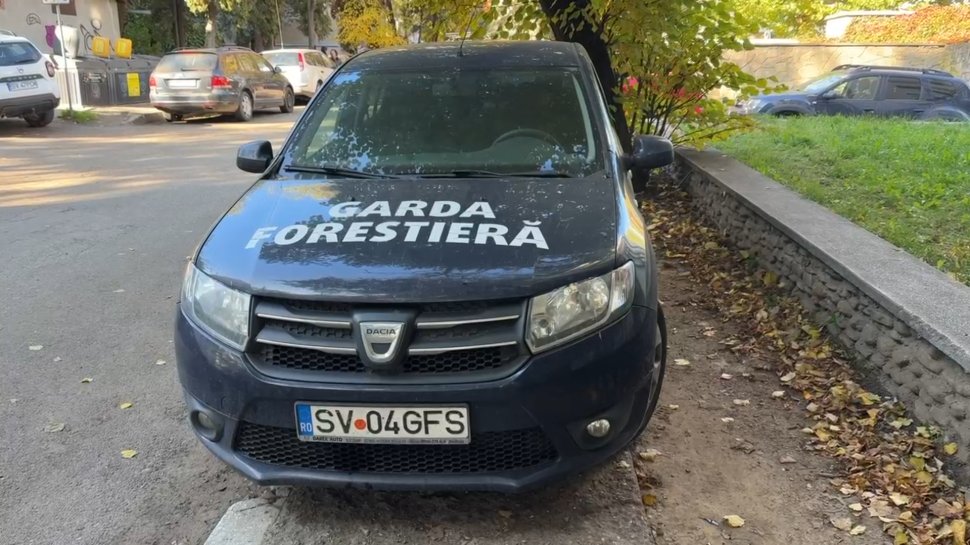 Dosar de corupție la Garda Forestieră, cu rețineri și percheziții ample 4482
