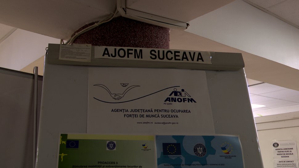 Serviciile de ocupare digitalizate prin platforma PULS 4555