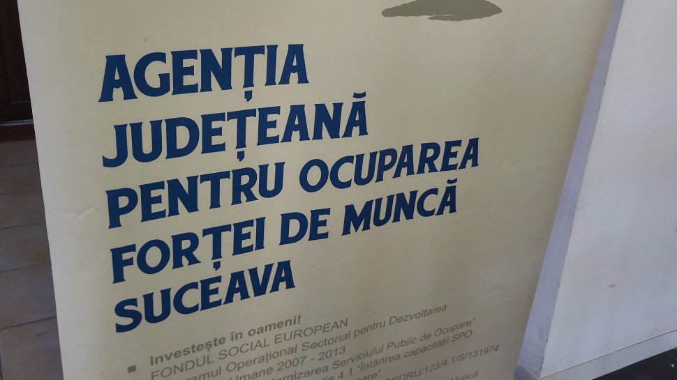 Serviciile de ocupare digitalizate prin platforma PULS 4557