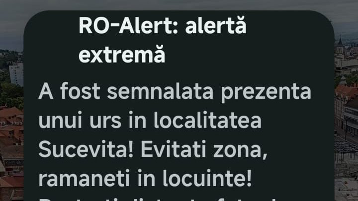 Alertă RO: Prezența unui urs în Sucevița, semnalată printr-o avertizare