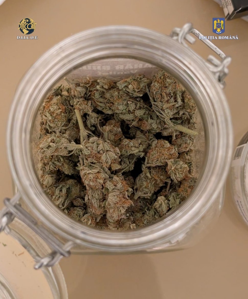 Măsuri ferme împotriva consumului de droguri în școli 5870