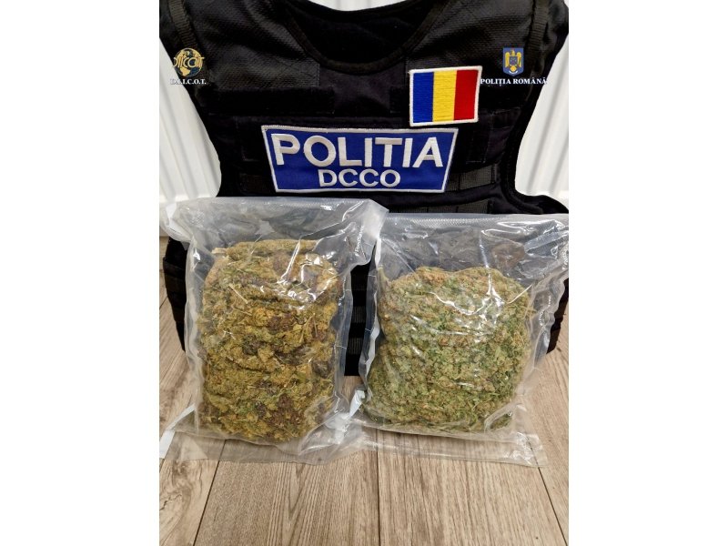 Operațiunea „BLIZZARD” – Poliția Română confiscă droguri și arme, 117 persoane arestate preventiv 6020
