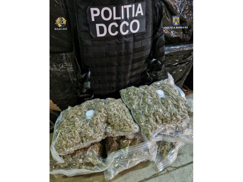 Operațiunea „BLIZZARD” – Poliția Română confiscă droguri și arme, 117 persoane arestate preventiv 6023