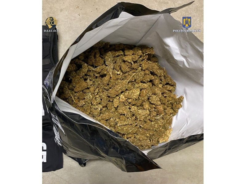 Operațiunea „BLIZZARD” – Poliția Română confiscă droguri și arme, 117 persoane arestate preventiv 6024