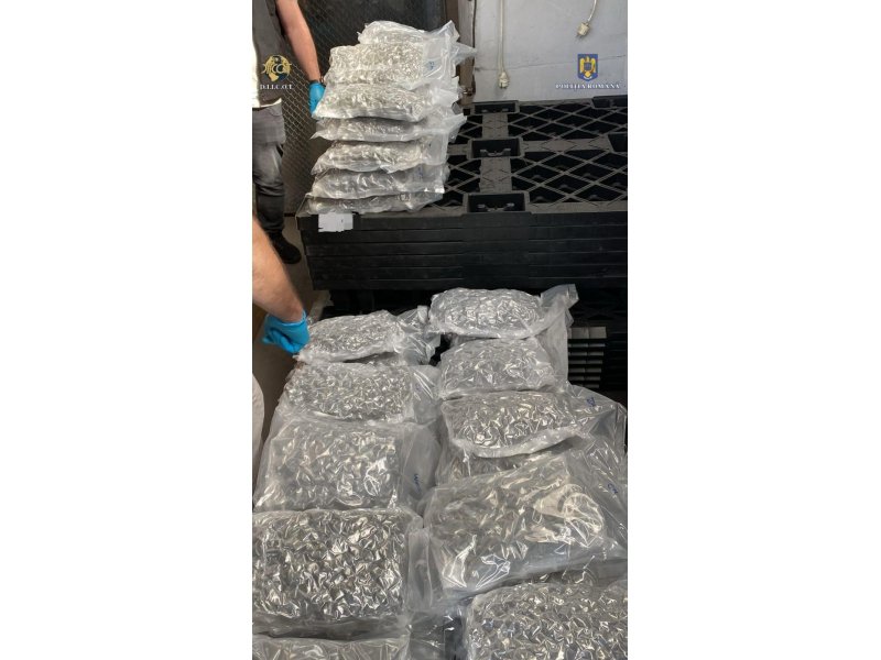 Operațiunea „BLIZZARD” – Poliția Română confiscă droguri și arme, 117 persoane arestate preventiv 6027