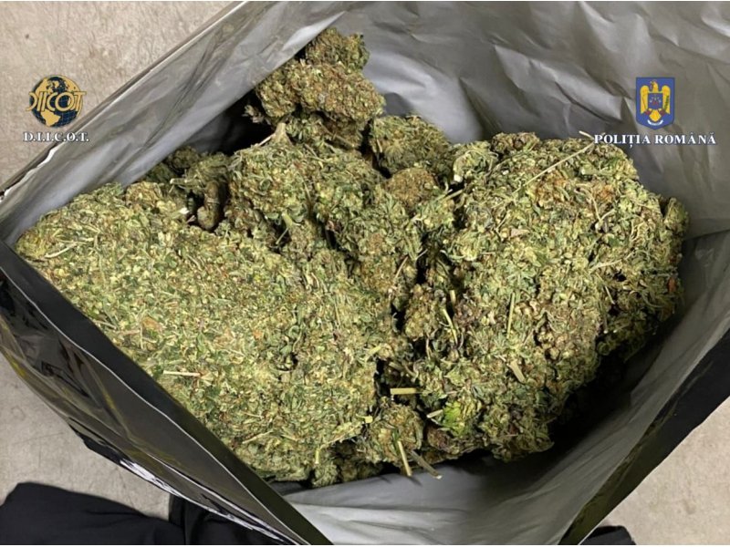 Operațiunea „BLIZZARD” – Poliția Română confiscă droguri și arme, 117 persoane arestate preventiv 6028