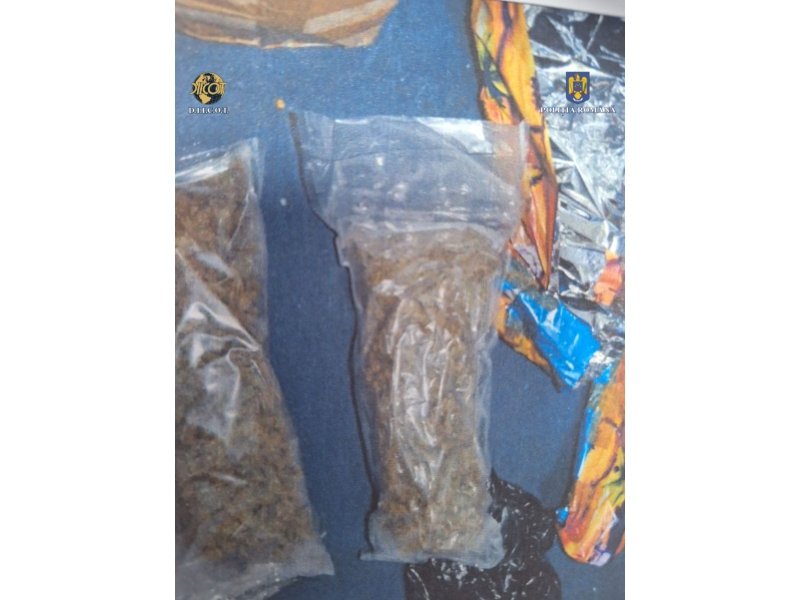 Operațiunea „BLIZZARD” – Poliția Română confiscă droguri și arme, 117 persoane arestate preventiv 6037