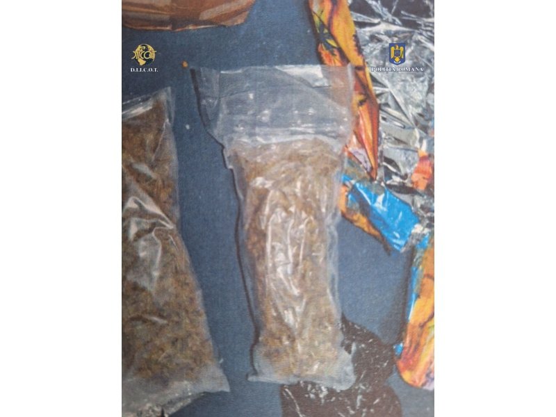 Operațiunea „BLIZZARD” – Poliția Română confiscă droguri și arme, 117 persoane arestate preventiv 6042