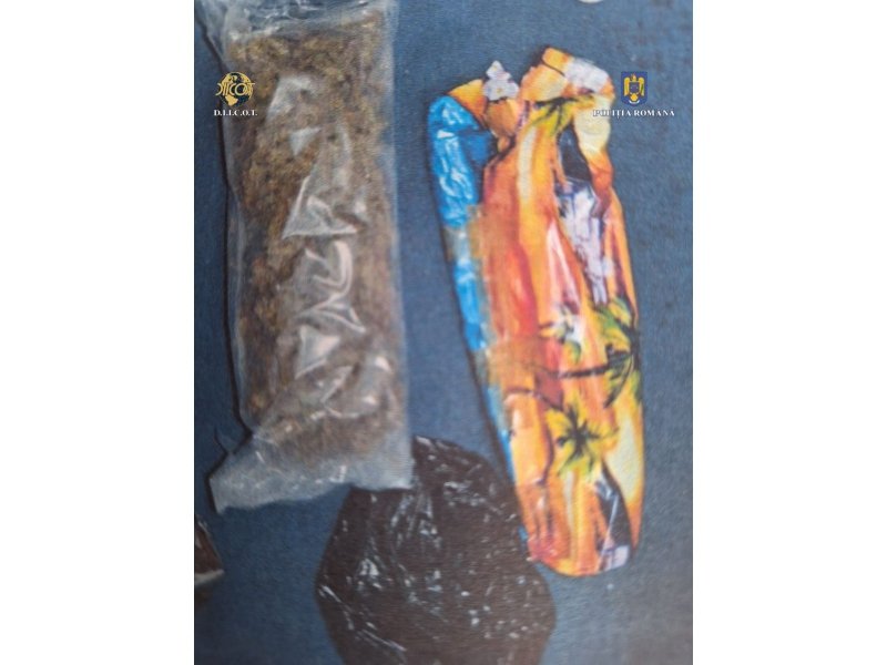 Operațiunea „BLIZZARD” – Poliția Română confiscă droguri și arme, 117 persoane arestate preventiv 6044