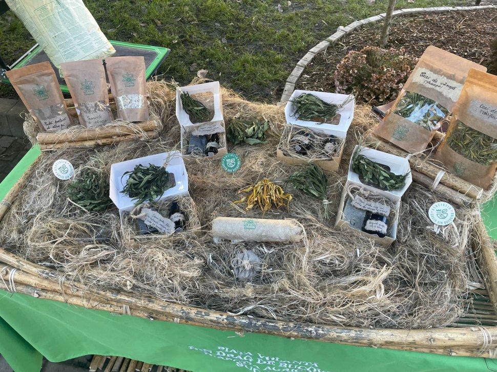 „Gustă din Bucovina” – piața volantă din campusul USV, un succes răsunător la o nouă ediție 7079