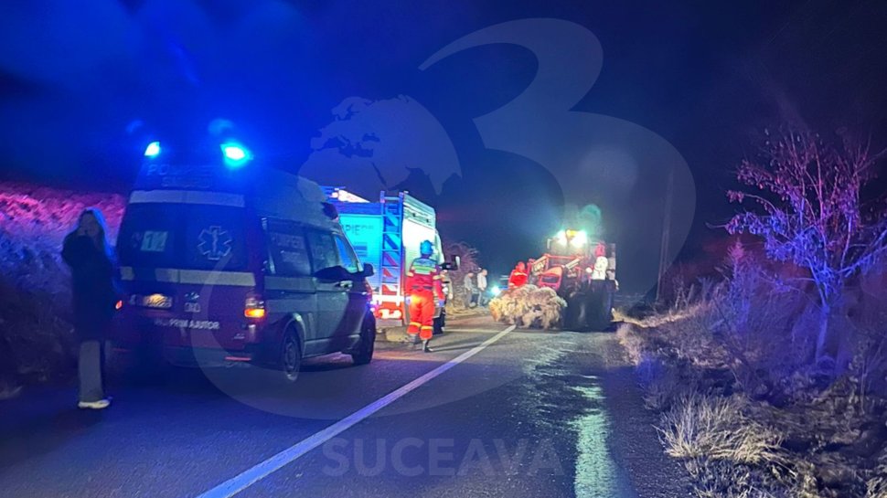 Accident rutier neobișnuit lângă Fălticeni: autoturism grav avariat și pierderi în rândul ovinelor