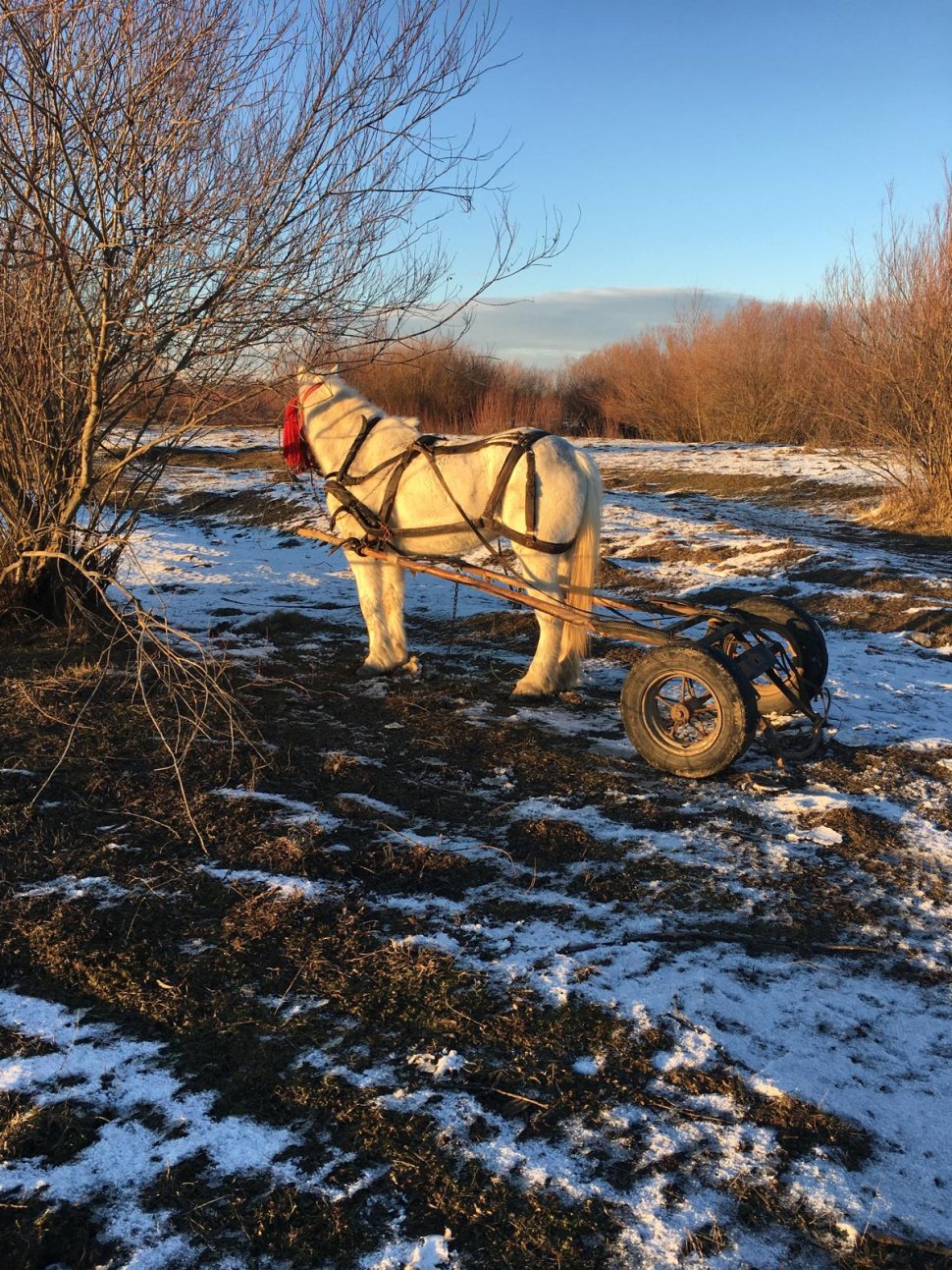 Bărbatul căutat de pompieri pe râul Moldova a fost găsit decedat în albia râului 7628