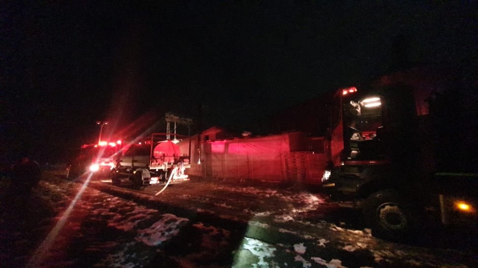 Fermă de porci mistuită de flăcări, la Vornicenii Mici; mii de animale au pierit în incendiu 7690