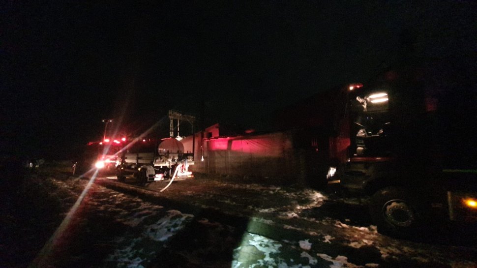 Fermă de porci mistuită de flăcări, la Vornicenii Mici; mii de animale au pierit în incendiu 7691