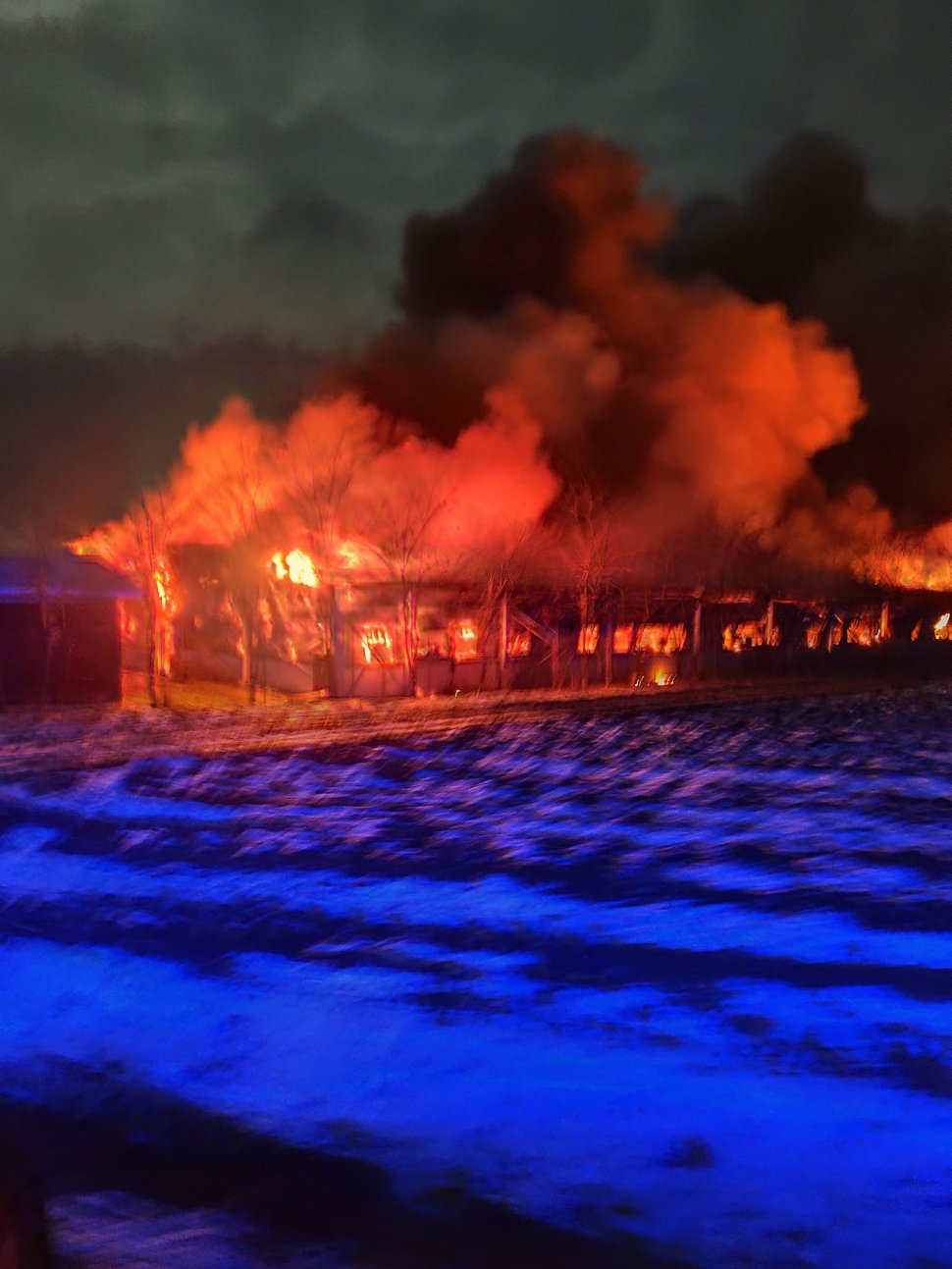 Fermă de porci mistuită de flăcări, la Vornicenii Mici; mii de animale au pierit în incendiu 7692