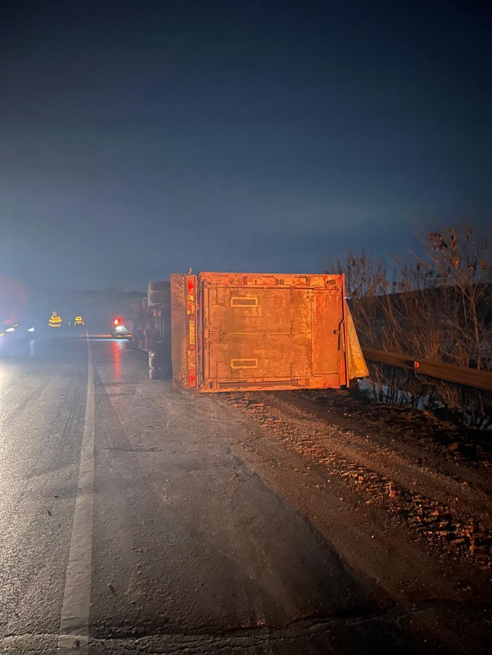 Tir cu animale răsturnat la pe E85, la Spătărești  7732