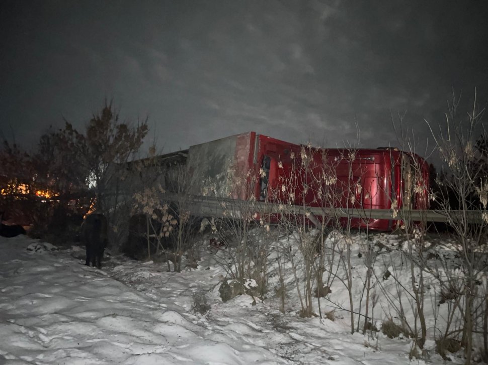 Tir cu animale răsturnat la pe E85, la Spătărești  7733