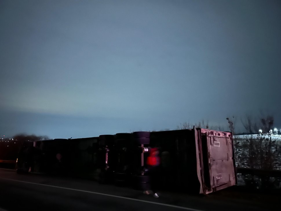 Tir cu animale răsturnat la pe E85, la Spătărești  7734