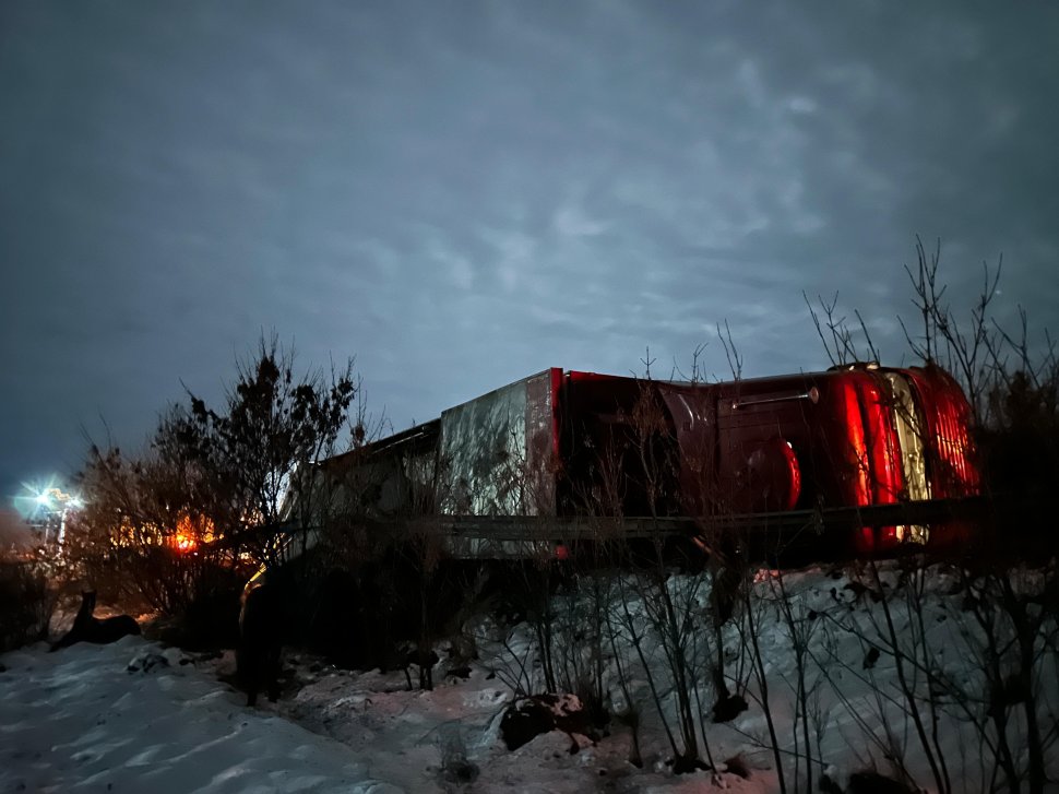 Tir cu animale răsturnat la pe E85, la Spătărești  7736