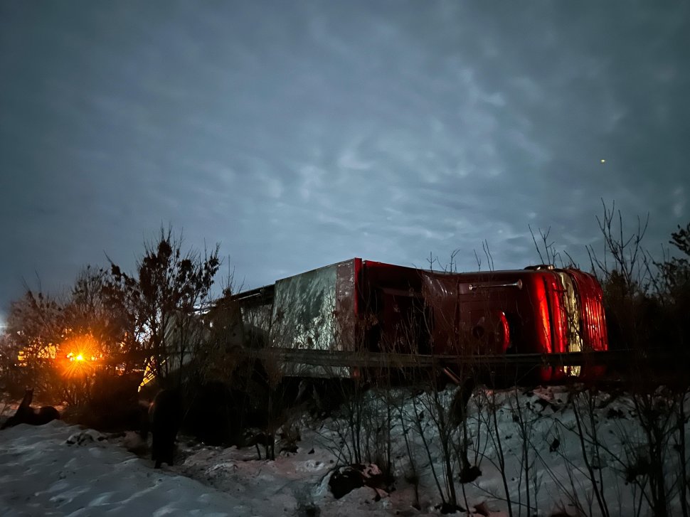 Tir cu animale răsturnat la pe E85, la Spătărești  7737