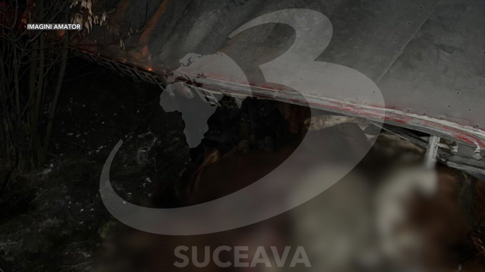 Tir cu animale răsturnat la pe E85, la Spătărești  7739