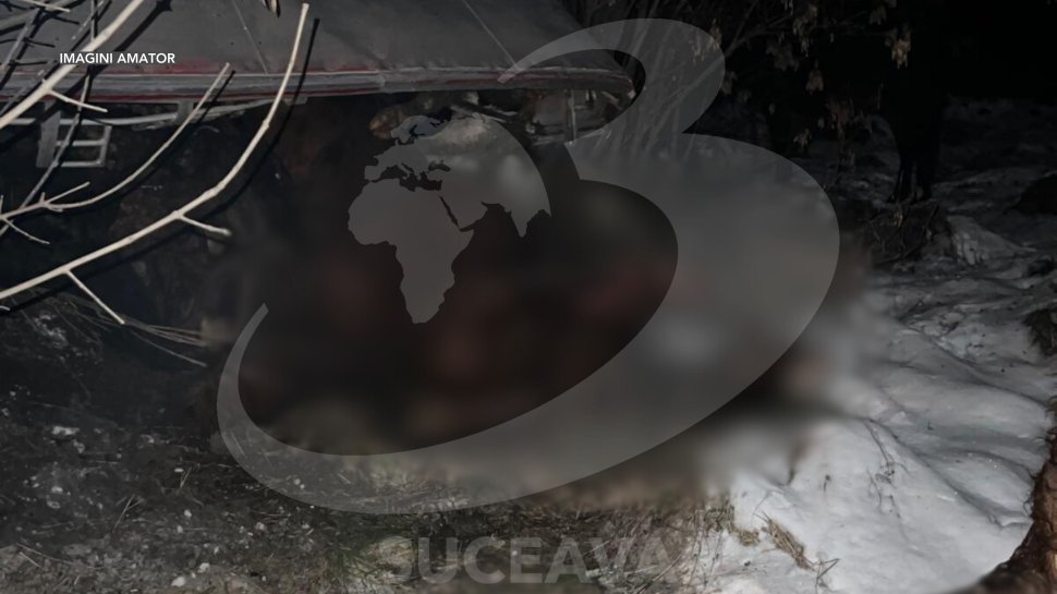 Tir cu animale răsturnat la pe E85, la Spătărești  7740