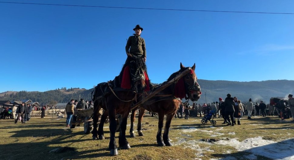 Ciobănescul de Bucovina, paradă impresionantă la Stulpicani 7841