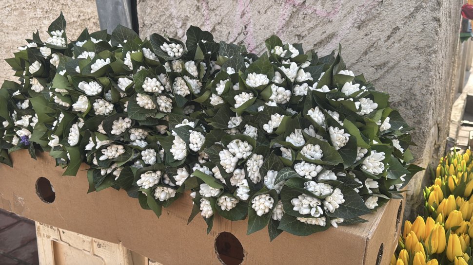 Sucevenii au luat cu asalt florăriile de Valentine`s Day 8397