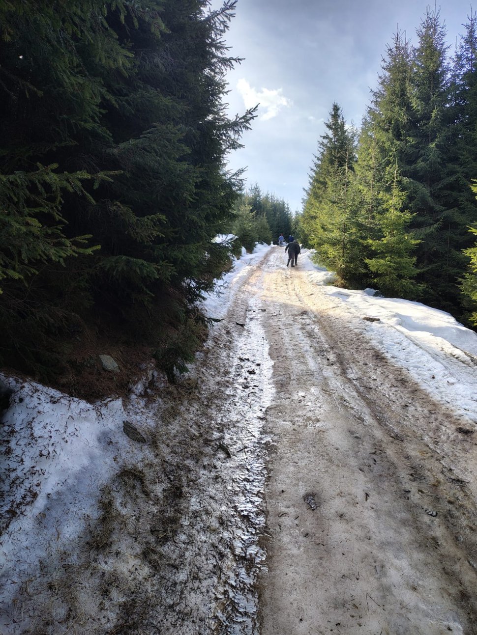 Intervenție dificilă la un incendiu izbucnit în cătunul Fluturica, din comuna Cârlibaba 9128