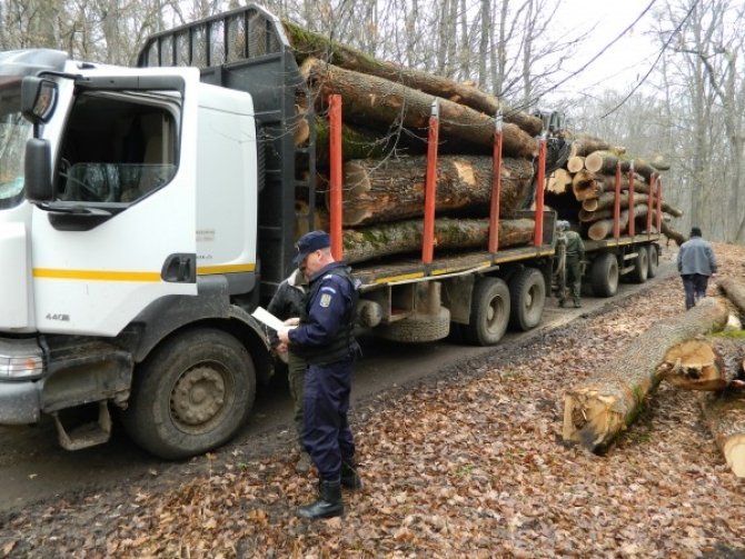 Razie pe linie silvică și rutieră în Vatra Dornei 9508