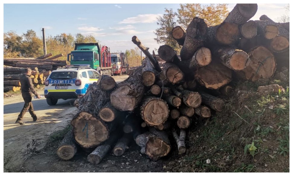 Razie pe linie silvică și rutieră în Vatra Dornei 9510