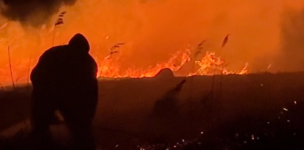 Incendiu de vegetație pe un câmp din Preutești 9567