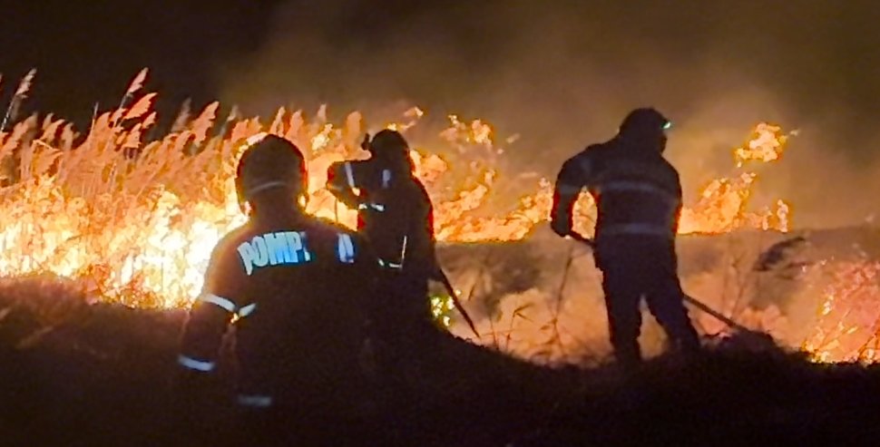 Incendiu de vegetație pe un câmp din Preutești 9568