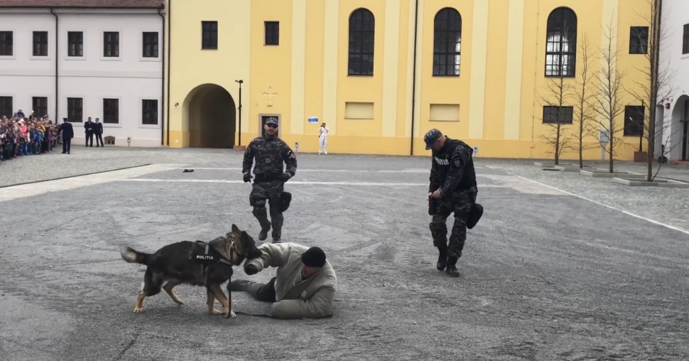 Poliția Română, sărbătorită astăzi pentru siguranța națională 9577