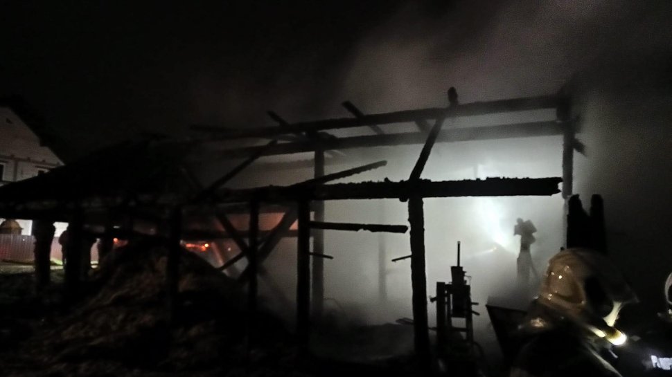 Intervenție cu 7 autospeciale la un incendiu puternic în Arbore 9897