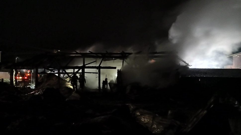 Intervenție cu 7 autospeciale la un incendiu puternic în Arbore 9899