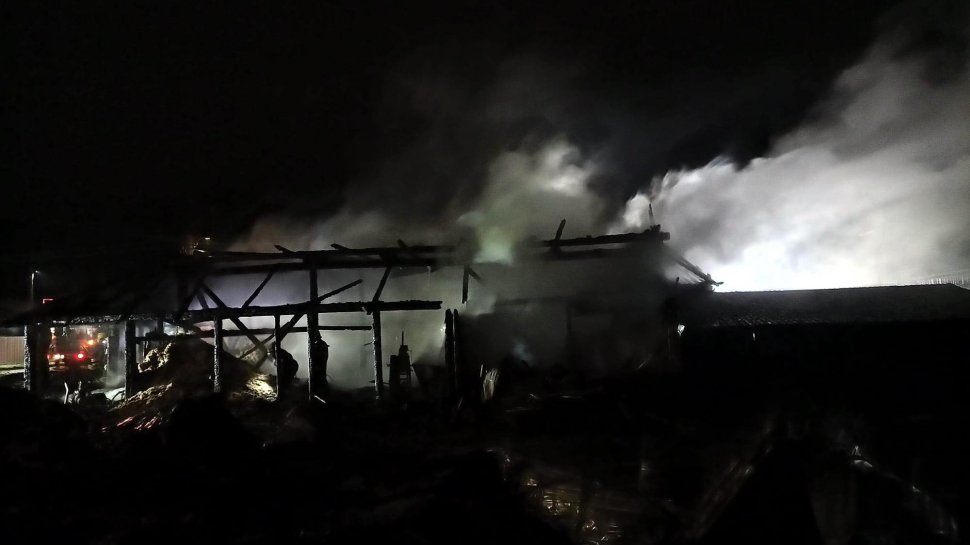 Intervenție cu 7 autospeciale la un incendiu puternic în Arbore 9900