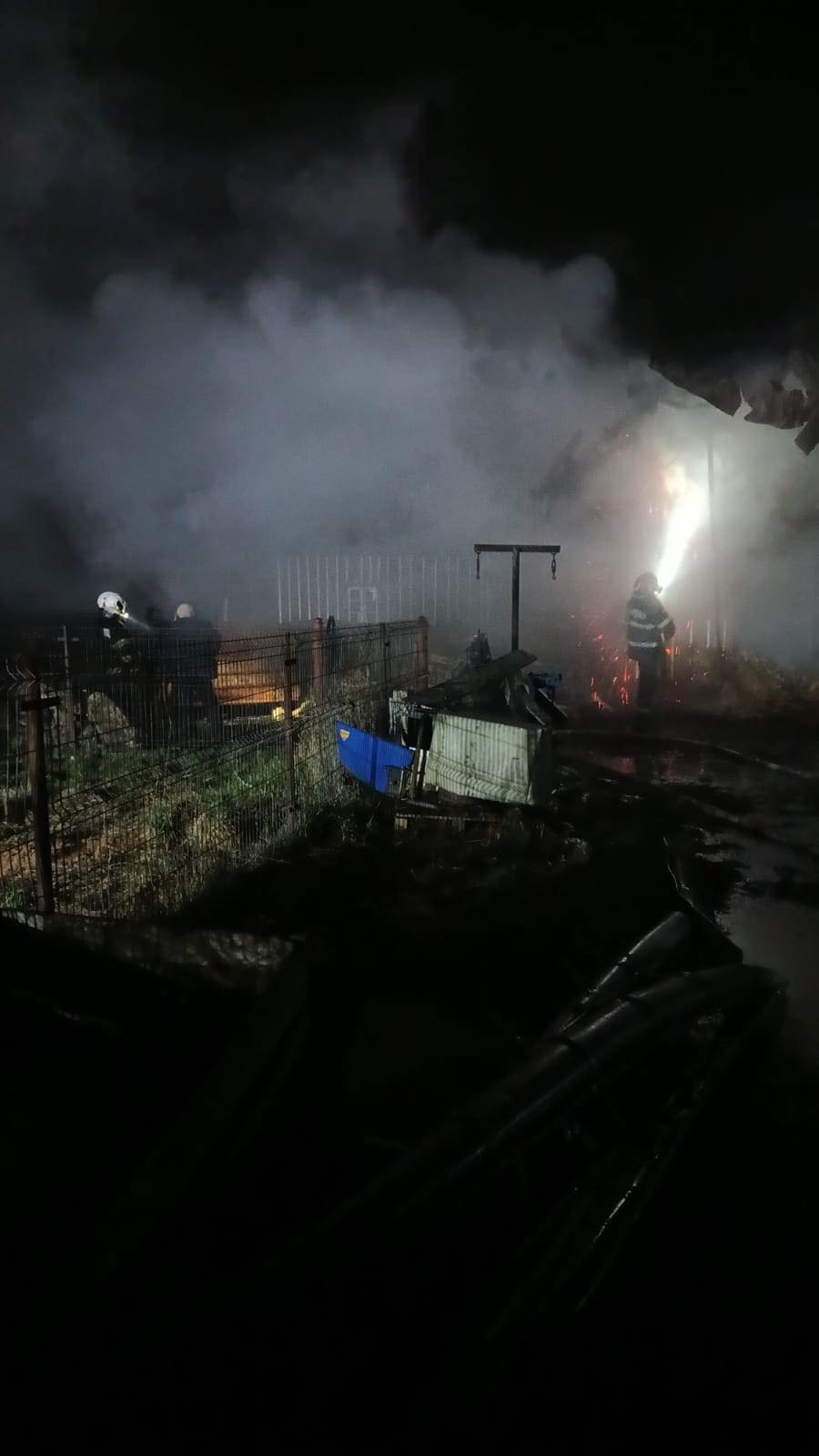 Intervenție cu 7 autospeciale la un incendiu puternic în Arbore 9901