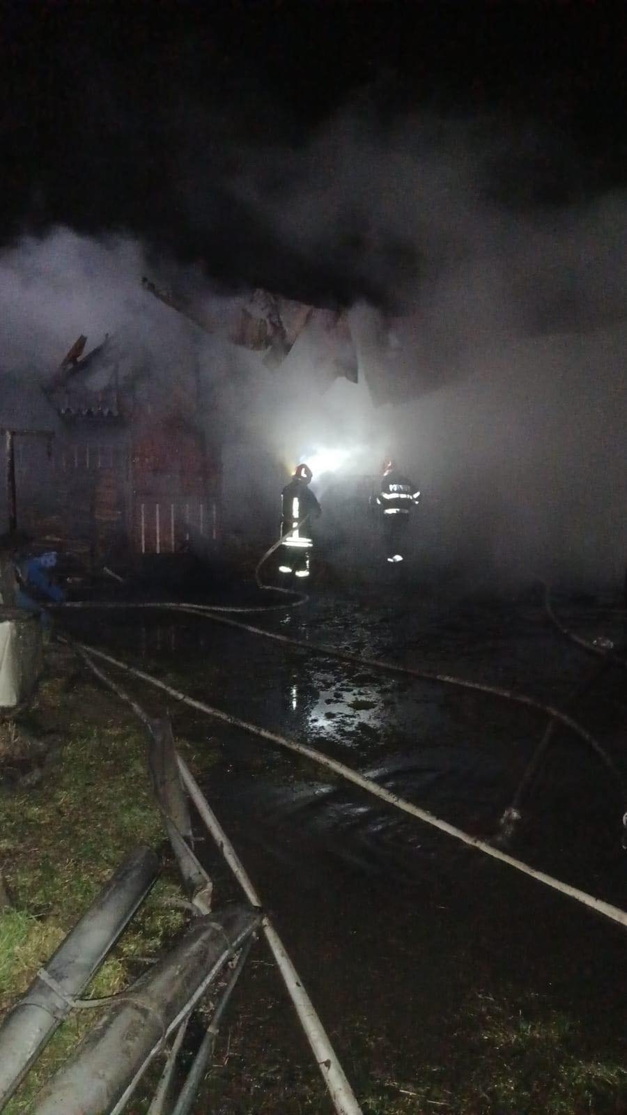 Intervenție cu 7 autospeciale la un incendiu puternic în Arbore 9902