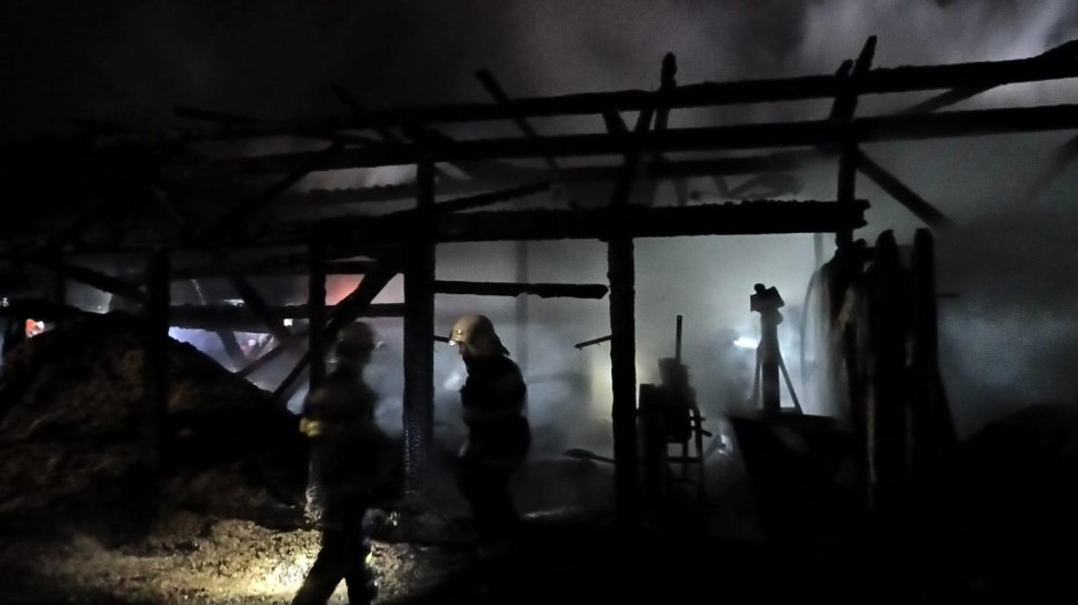 Intervenție cu 7 autospeciale la un incendiu puternic în Arbore 9905