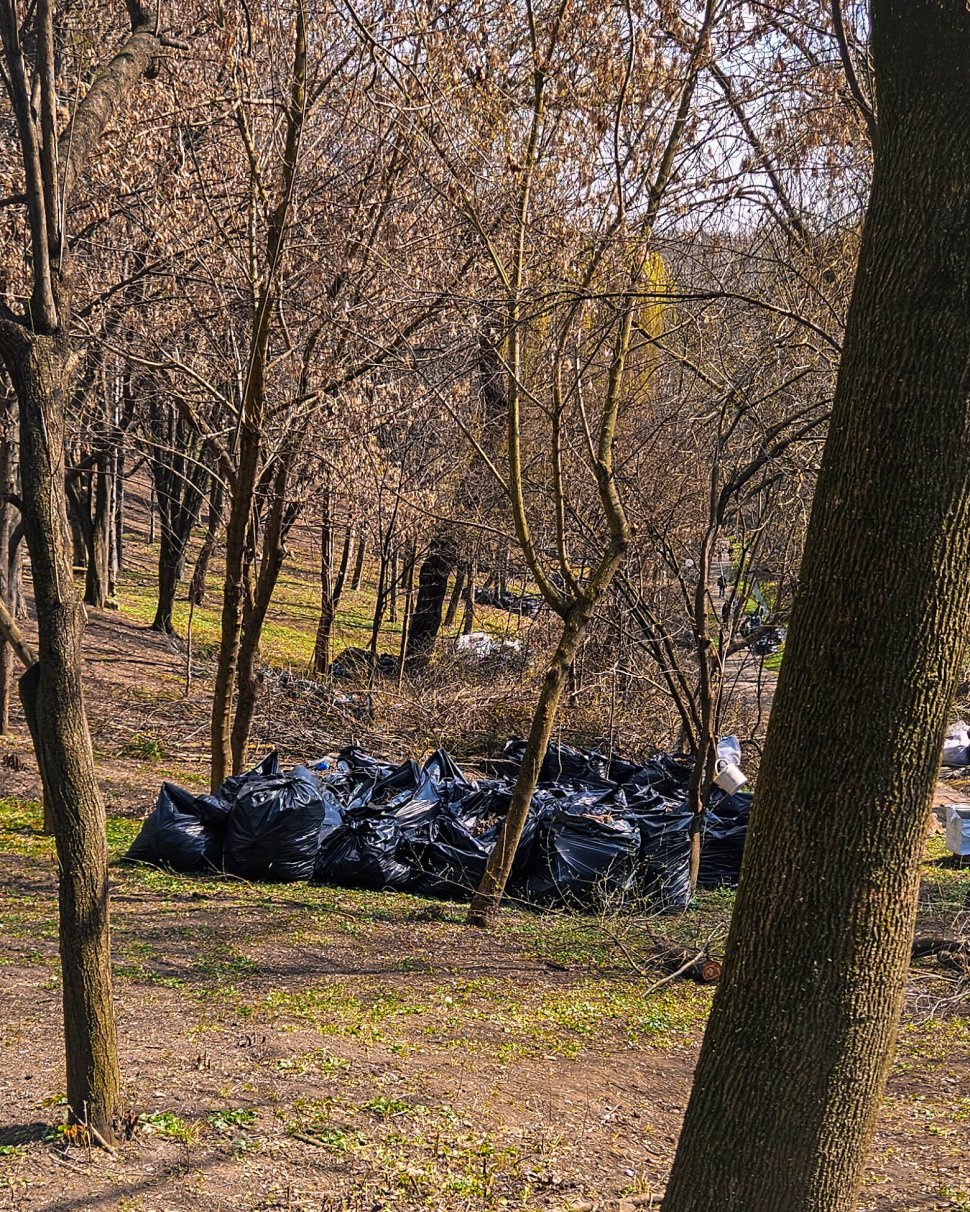 Parcul Șipote-Cetate, revigorat pentru primăvară 9956