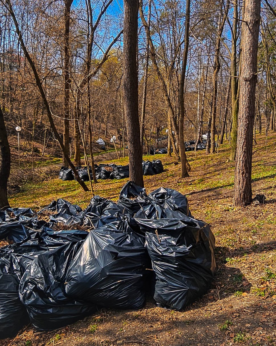 Parcul Șipote-Cetate, revigorat pentru primăvară 9957