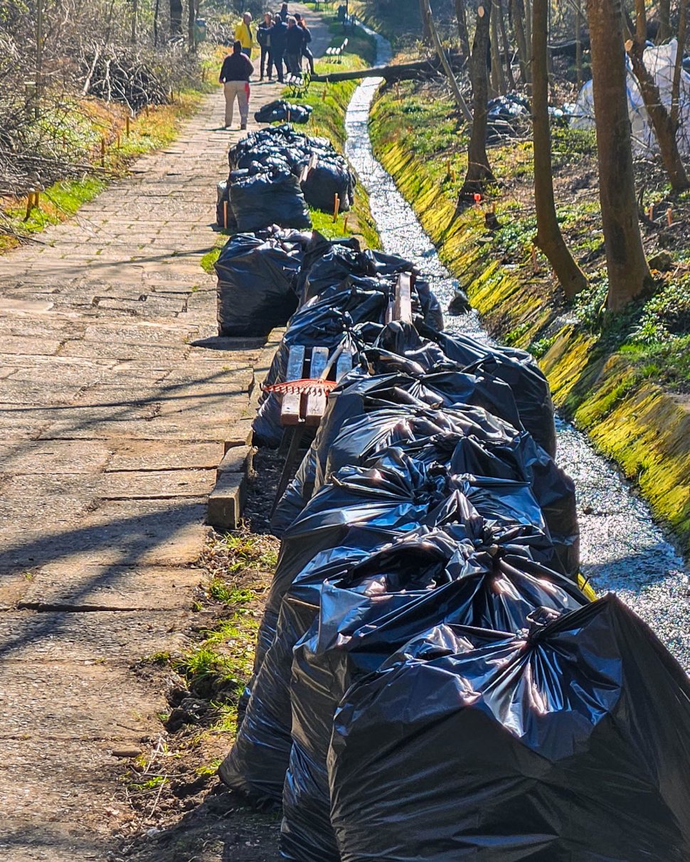 Parcul Șipote-Cetate, revigorat pentru primăvară 9958
