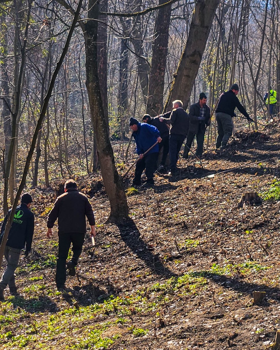 Parcul Șipote-Cetate, revigorat pentru primăvară 9959