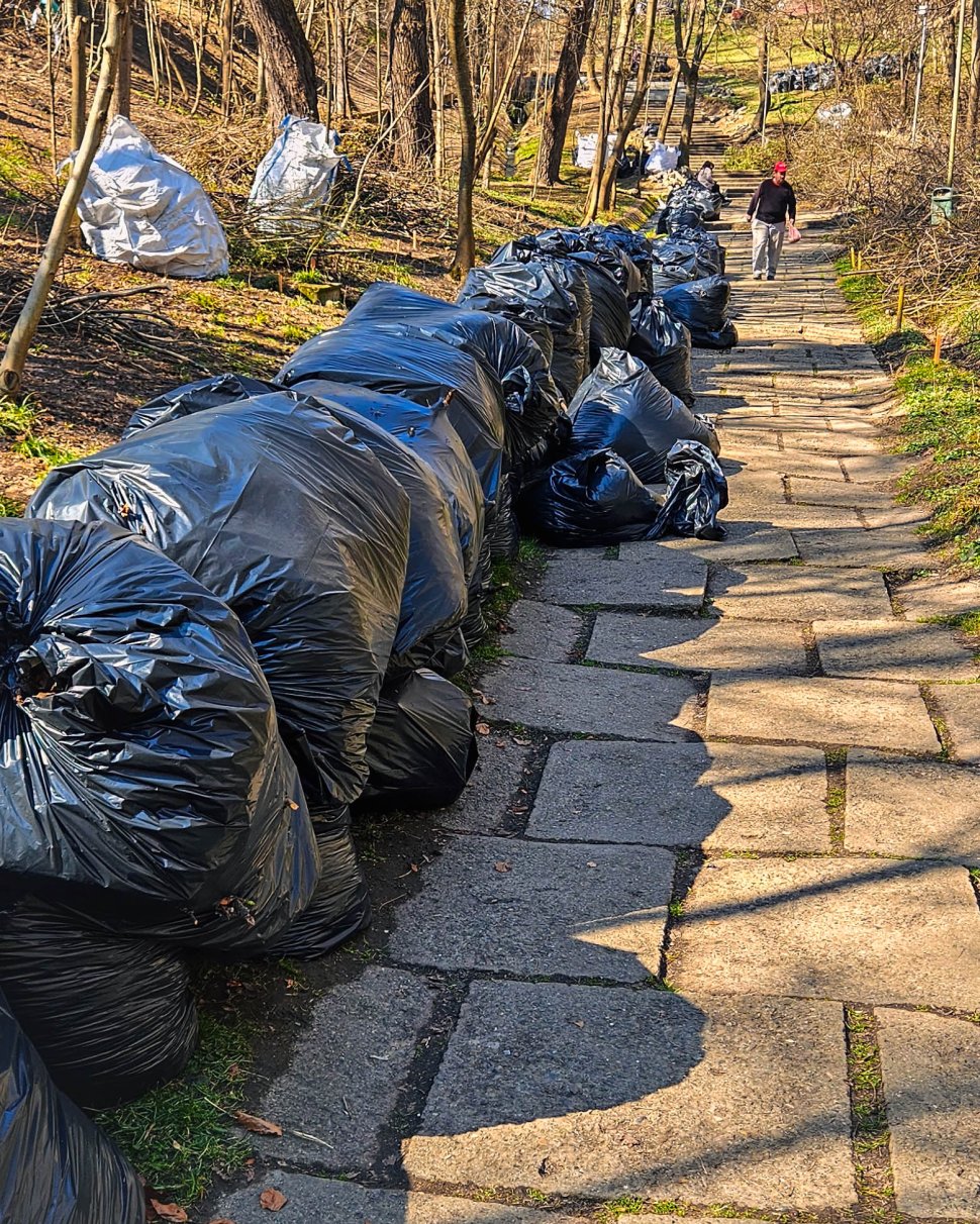 Parcul Șipote-Cetate, revigorat pentru primăvară 9960
